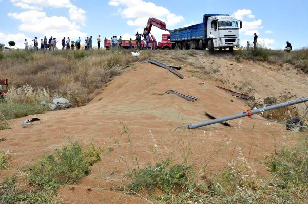 Kamyon Şarampole Devrildi, Tonlarca Buğday Araziye Döküldü
