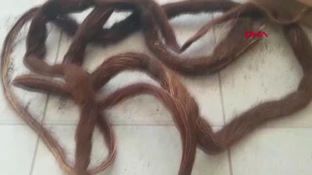Mardin Nusaybin’de İçme Suyu, 7 Metrelik Ağaç Kökü Nedeniyle Kesilmiş