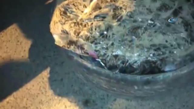 Mardin’de 10 Bin 860 Paket Kaçak Sigara Ele Geçirildi