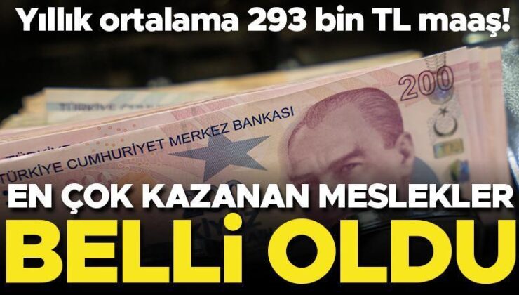 Finans çalışanları ve sigortacılar en çok kazanan meslek sahipleri oldu