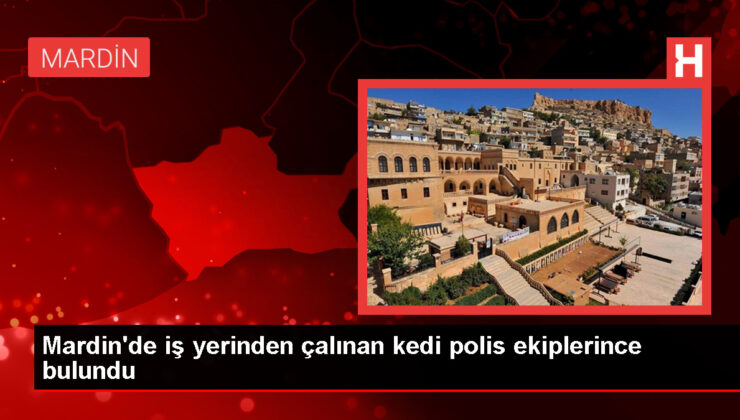 Mardin’de Çalınan Kedi Polis Tarafından Bulundu