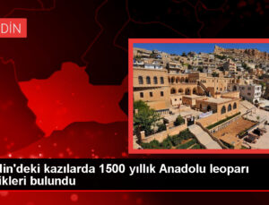 Mardin’de Roma devrine ilişkin villa kalıntısında Anadolu leoparının çene kemikleri bulundu